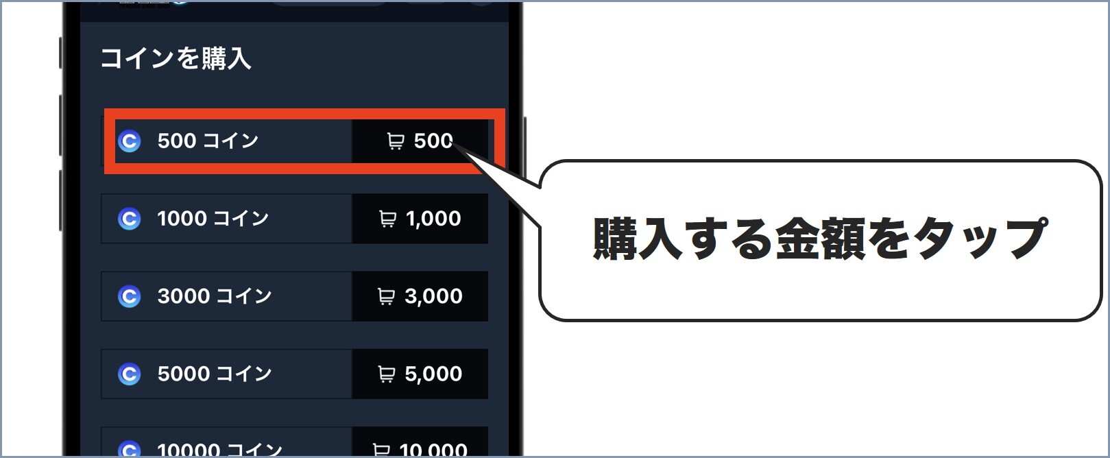 WiZ支払い方法2