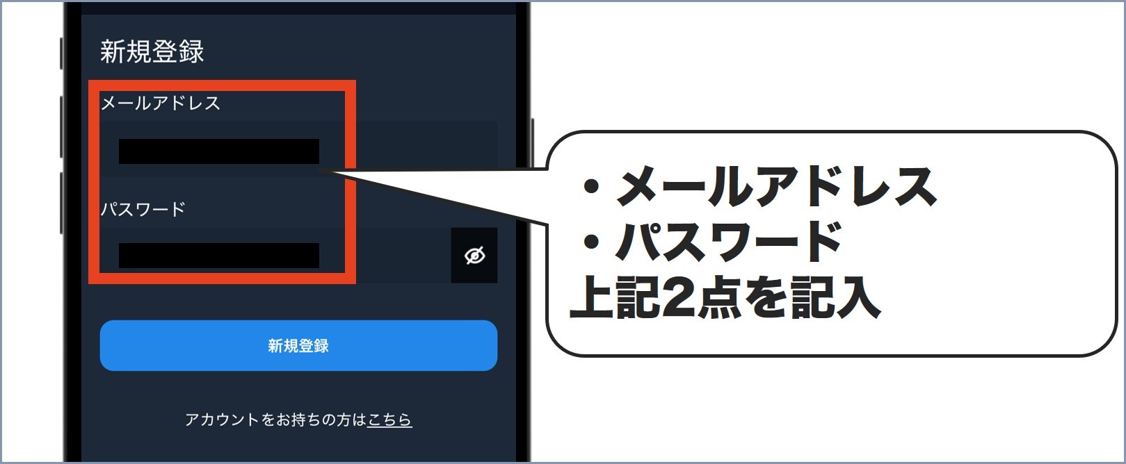 WiZ新規登録2